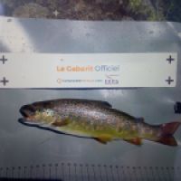 photo prise 8706 par Fabien Godfrin