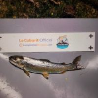 photo prise 8720 par Tib