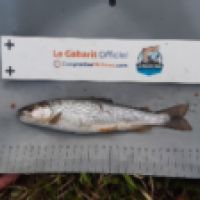 photo prise 8732 par tisseyre.quentin