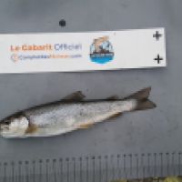 photo prise 8734 par tisseyre.quentin
