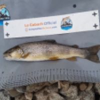 photo prise 8735 par tisseyre.quentin