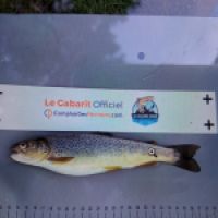 photo prise 8743 par Julien64