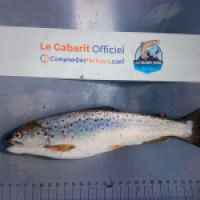 photo prise 8744 par Julien64