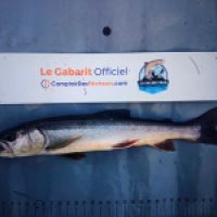 photo prise 8752 par Ray-ben