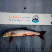 photo prise 8755 par Ray-ben