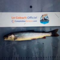 photo prise 8756 par Ray-ben