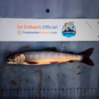 photo prise 8757 par Ray-ben