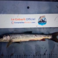photo prise 8758 par Ray-ben