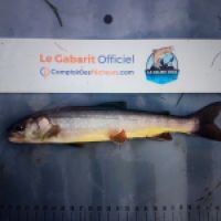 photo prise 8762 par Ray-ben