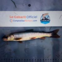 photo prise 8763 par Ray-ben