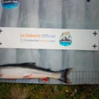 photo prise 8772 par Quentin team trout 73
