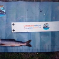 photo prise 8773 par Quentin team trout 73