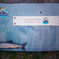 photo prise 8775 par Quentin team trout 73