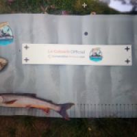 photo prise 8784 par Quentin team trout 73