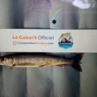 photo prise 8785 par Quentin team trout 73