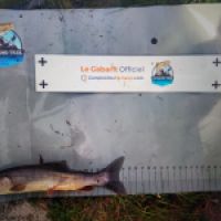photo prise 8786 par Quentin team trout 73