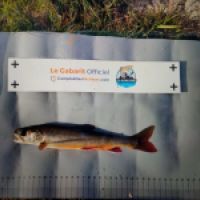 photo prise 8787 par Quentin team trout 73
