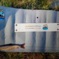 photo prise 8788 par Quentin team trout 73