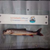 photo prise 8789 par Quentin team trout 73
