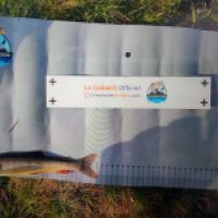 photo prise 8790 par Quentin team trout 73