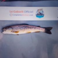 photo prise 8818 par Romain