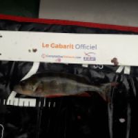 photo prise 8832 par Dim