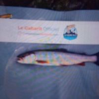 photo prise 8834 par TMV