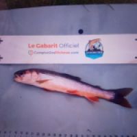 photo prise 8835 par TMV