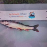 photo prise 8839 par TMV