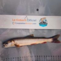 photo prise 8840 par TMV