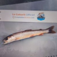 photo prise 8841 par TMV