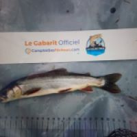 photo prise 8843 par TMV