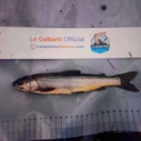 photo prise 8844 par TMV