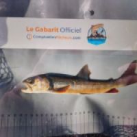 photo prise 8847 par TMV