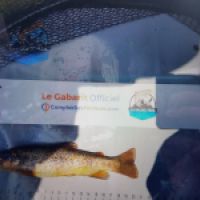 photo prise 8853 par TMV