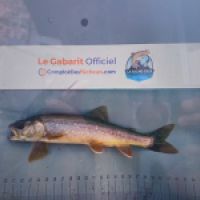 photo prise 8878 par Gillen