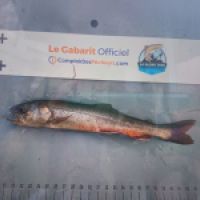 photo prise 8879 par Gillen