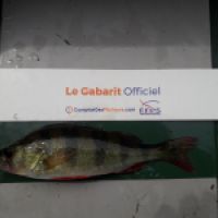 photo prise 8880 par Dim