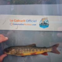 photo prise 8881 par Gillen