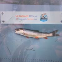 photo prise 8886 par Gillen