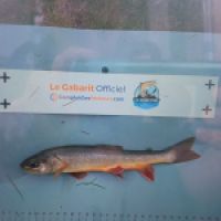 photo prise 8887 par Gillen