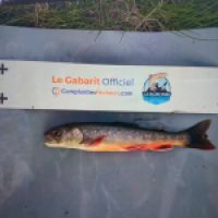 photo prise 8891 par Gillen