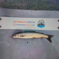 photo prise 8892 par Gillen