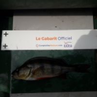 photo prise 8905 par Seb