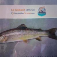 photo prise 8910 par Fabien Godfrin