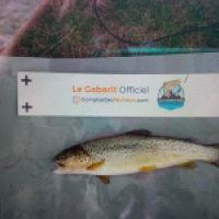 photo prise 8917 par Fabien Godfrin