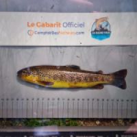 photo prise 8924 par Olivier Debrock