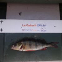 photo prise 8941 par Baptiste