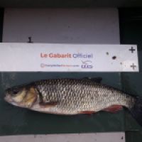 photo prise 8942 par Baptiste