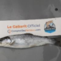 photo prise 8960 par totosfishing46
